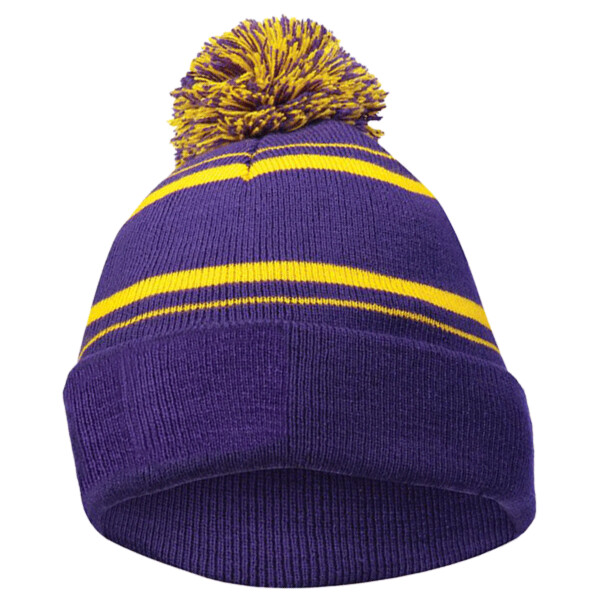 Homecoming Beanie Thumbnail